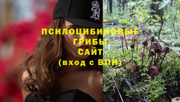 скорость Алзамай