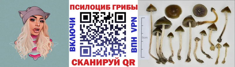 Галлюциногенные грибы мухоморы  наркота  Гусь-Хрустальный 